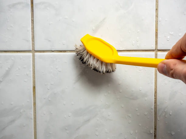 Best Mold Removal Company Near Me  in Burgettstown, PA